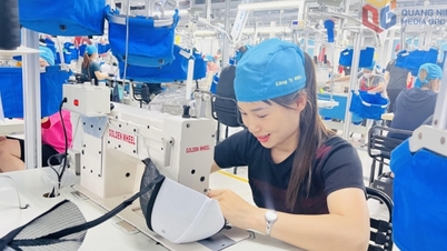 When competition becomes the driving force for development