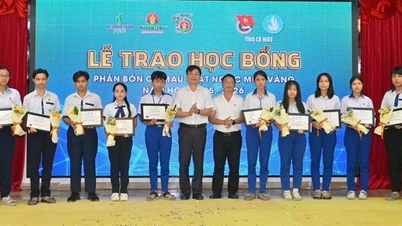 Απονομή 150 υποτροφιών "Λίπασμα Ca Mau - Χρυσοί Σπόροι" για το σχολικό έτος 2025-2026.