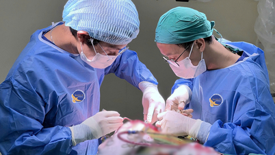 호치민시: 공부 스트레스로 인한 두통으로 추정되던 남학생, 뇌종양으로 밝혀져