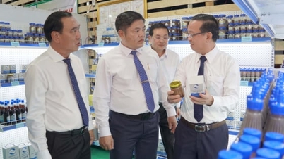 5 uppgifter för att förbättra Ho Chi Minh City OCOP-produkter under den nya perioden