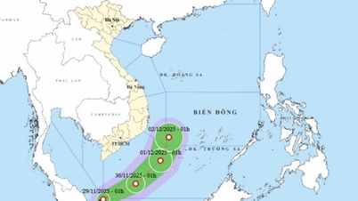 Η καταιγίδα Νο. 15 Κότο συνεχίζει να αλλάζει κατεύθυνση, η τροπική ύφεση πρόκειται να εισέλθει στην Ανατολική Θάλασσα
