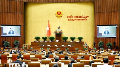 প্রেস বিজ্ঞপ্তি নং ৩১, ১০ম অধিবেশন, ১৫তম জাতীয় পরিষদ