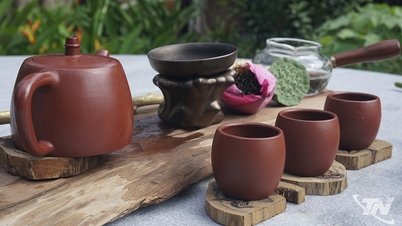 Hợp tác xã Tâm Trà Việt và xu hướng mới của chè Thái Nguyên