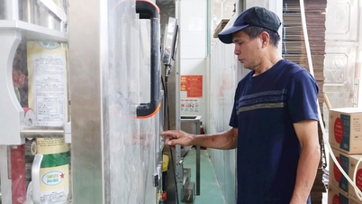 การส่งเสริมอุตสาหกรรมไฮฟองสร้างสถิติใหม่ สร้างแรงผลักดันให้กับอุตสาหกรรมในชนบท