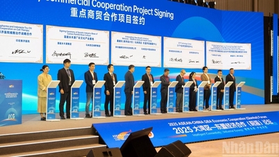 Економічне співробітництво між АСЕАН та Китаєм виходить на новий етап розвитку