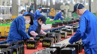 गैर-लाभकारी श्रम कार्यक्रमों से सतत गरीबी में कमी