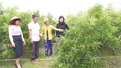 Politické úvěry mění tvář venkovských oblastí