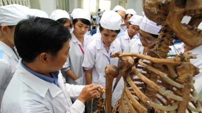 Policy för att skärpa läkar- och juridikutbildningen: Vad säger studenterna?