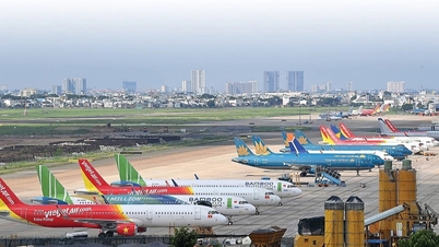 Anuncio urgente de Airbus, Vietnam Airlines, Vietjet, Bamboo Airways... responden