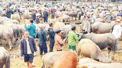 Нові засоби до існування на старій землі