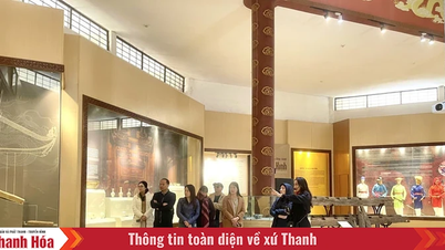 많은 매력적인 관광 활성화 프로그램을 약속합니다