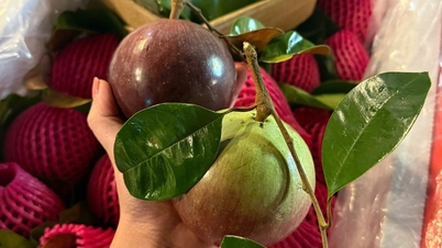 Dong Thap-spesialiteten er søt og velduftende som melk. Kunder i Hanoi bestiller frakt tusenvis av kilometer for å spise.