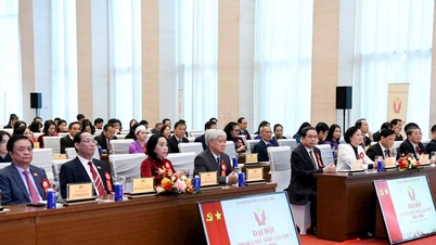 תחרות ותגמולים יוצרים מוטיבציה לקידום יישום מוצלח של תוכנית העבודה כולה.