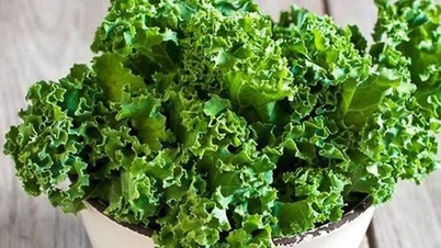 Tiroid bezine iyi gelen besinler sağlığın etkili bir şekilde iyileşmesine yardımcı olur.