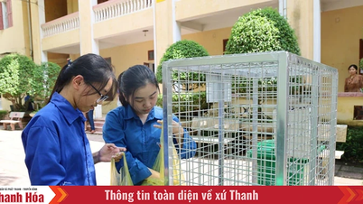 W kierunku zielonego życia