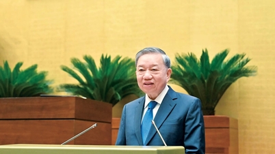 महासचिव ने लैम से कहा: पुरस्कार योग्य कार्य सार्थक होना चाहिए, सही व्यक्ति, सही कार्य