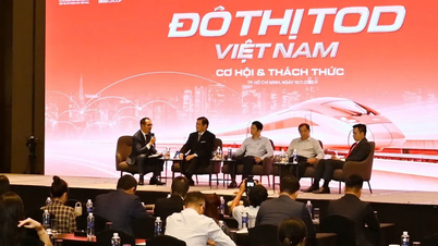 Att fullända den institutionella ramen för Ho Chi Minh-staden för ett genombrott - Del 5: Frigöra infrastrukturresurser