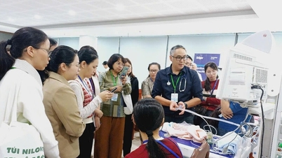 Đà Nẵng đăng cai Hội nghị Mạng lưới chăm sóc trẻ sinh non bằng phương pháp Kangaroo