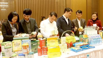 Penilaian dan klasifikasi produk OCOP wilayah, fasa 1, 2025