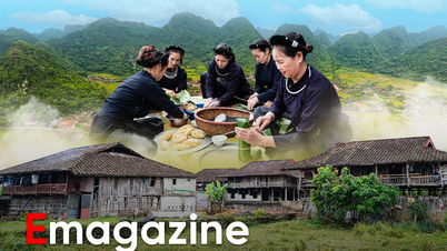 वियतनाम का अनोखा गाँव: पूरे गाँव का उपनाम डुओंग, घर एक ही दिशा में