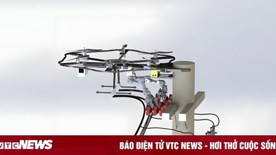 ກຸ່ມ CT: ການລົງທຶນໃນວິທະຍາສາດພື້ນຖານ, ເລືອກເສັ້ນທາງພັດທະນາຈາກ 'ຮາກ'