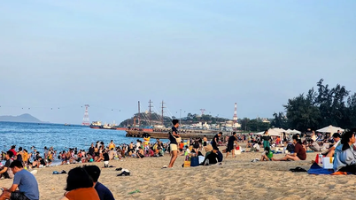 Proactief plannen om toeristen te evacueren om storm nr. 15 te voorkomen en erop te reageren