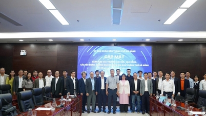 Da Nang efektivně propaguje model propojení „tří domů“