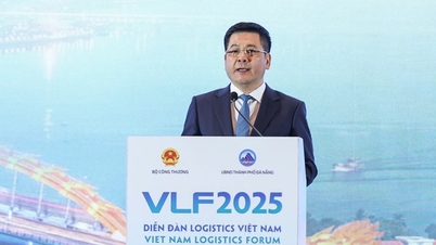 ベトナムの物流産業の向上に向けた制度整備と投資誘致