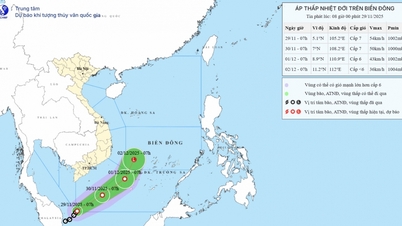 Tiếp tục triển khai phương án ứng phó bão số 15 và áp thấp nhiệt đới gần biển Đông