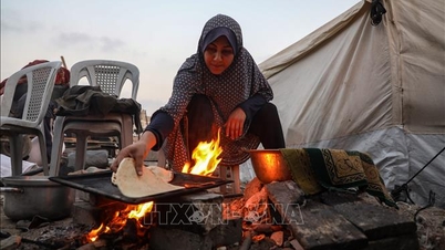 Cumhurbaşkanı Luong Cuong'un Filistin Halkıyla Uluslararası Dayanışma Günü vesilesiyle mesajı