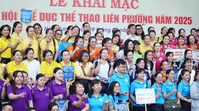 Nearly 1,000 athletes participate in the inter-ward sports festival