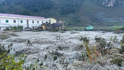 សាយសត្វលេចឡើងនៅក្នុងឃុំខ្ពង់រាបជាច្រើន។