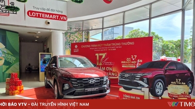 लोटे मार्ट में शानदार सौदों की श्रृंखला के साथ किफायती खरीदारी का अनुभव करें