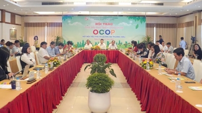OCOP TP.HCM tìm lời giải phát triển chuỗi giá trị và nâng tầm thương hiệu