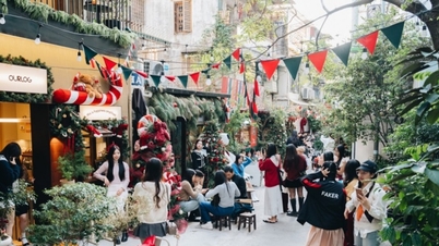 Hanoi: Un callejón navideño de 100 metros de estilo coreano atrae a los visitantes