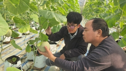 農産物の販売先を積極的に探す