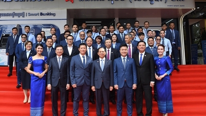 কম্বোডিয়ায় বিনিয়োগকারী ব্যবসা প্রতিষ্ঠান পরিদর্শন করলেন উপ-প্রধানমন্ত্রী বুই থান সন