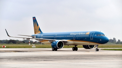 Vietnam Airlines quickly updates software according to Airbus's instructions