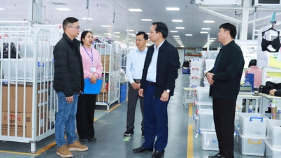 សមមិត្ត Van Dinh Thao បានចុះពិនិត្យស្ថានភាពផលិតកម្ម និងអាជីវកម្មនៅសួនឧស្សាហកម្ម Binh Vang។