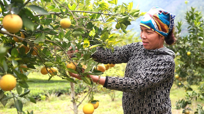 Effizienz aus politischem Kapital