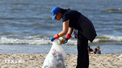 El desarrollo de una membrana polimérica absorbente de aceite ligero contribuye a la protección del medio ambiente