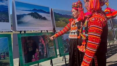 প্রায় ২০০টি শিল্পকর্মের ফটোগ্রাফিতে উত্তর-পশ্চিমের উজ্জ্বল রঙ