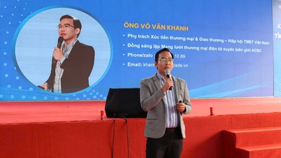 Instruire privind soluțiile de transformare digitală și aplicațiile de comerț electronic pentru micii comercianți