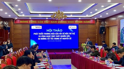 VCCI menyelenggarakan lokakarya tentang pengembangan merek yang terkait dengan kekayaan intelektual di Lang Son: Ketertelusuran adalah tren yang tak terelakkan