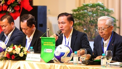 นายทราน อันห์ ตู ได้รับการเลือกตั้งให้ดำรงตำแหน่งประธานสหพันธ์ฟุตบอลนครโฮจิมินห์อีกครั้ง