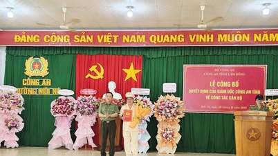 Ogłaszamy decyzję Dyrektora Prowincjonalnej Policji w sprawie pracy personelu w Mui Ne