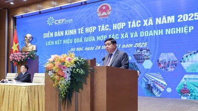 কৃষি সম্ভাবনা উন্মোচনের জন্য সমবায় এবং ব্যবসা প্রতিষ্ঠানের মধ্যে সংযোগ স্থাপন