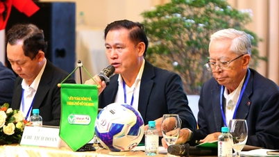 হো চি মিন সিটি ফুটবল ফেডারেশনের নতুন মেয়াদ: একটি যোগ্য একাডেমি থাকা দরকার, যা নারী ফুটবলকে বিশ্বমানের পর্যায়ে নিয়ে যাবে