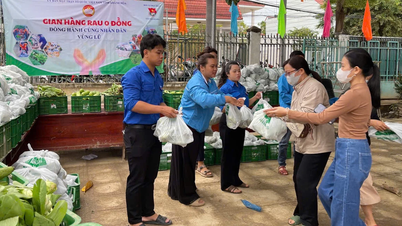 Sıfır maliyetli sebze tezgahı, halka 68 tondan fazla ücretsiz sebze sağlıyor