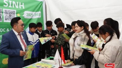 Jobbmässa och karriärvägledning år 2025 på Tuong Ha